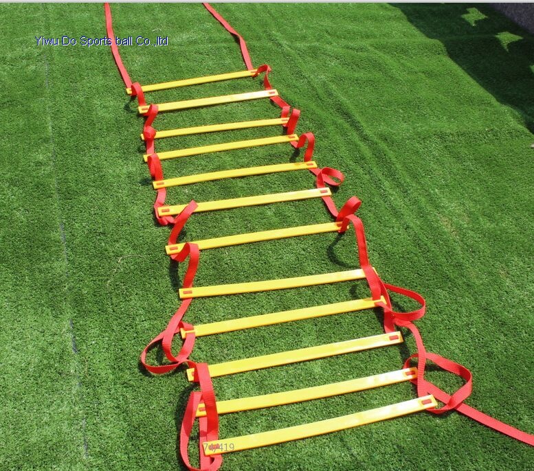 敏捷梯训练_动物世界