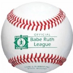 professional league baseball