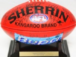 professional aussie rules football